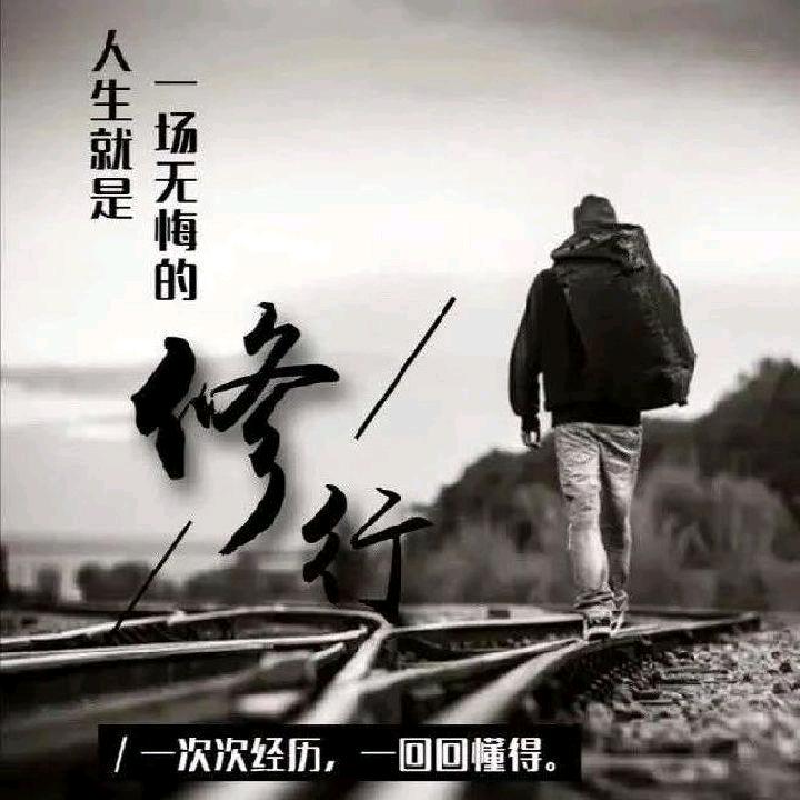 借风拥你