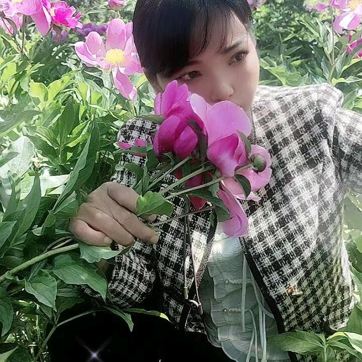 海洋的花