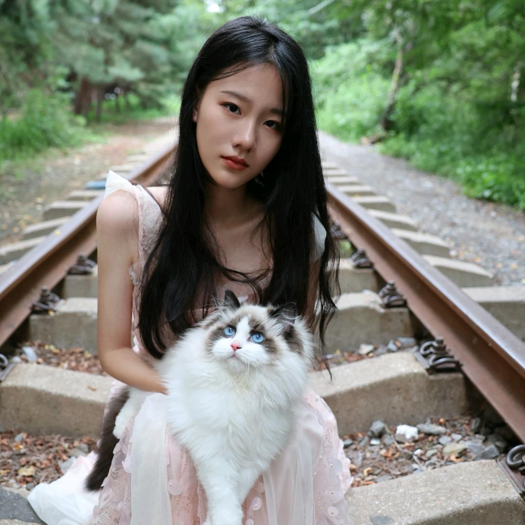 陈小鹿