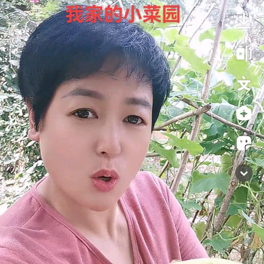 一片星空