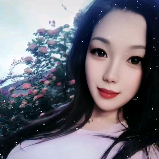 莹莹
