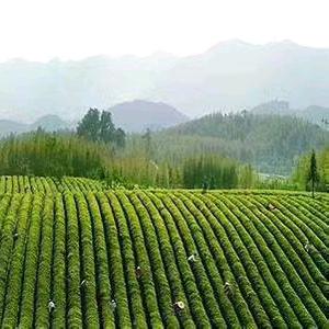 江苏宜兴户外爬山🐯