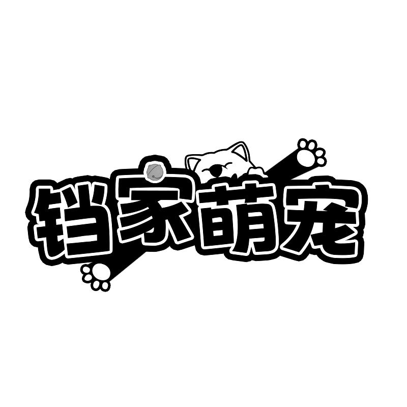 铛家萌宠猫粮工厂