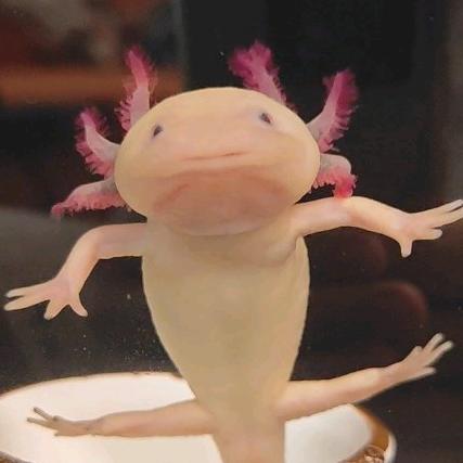 新手村NPC