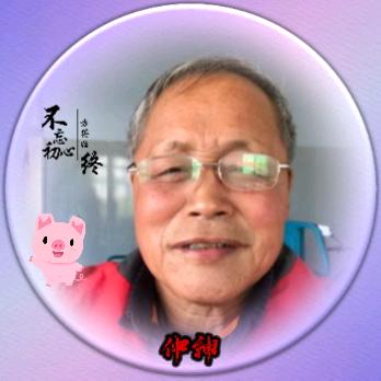 仲绅