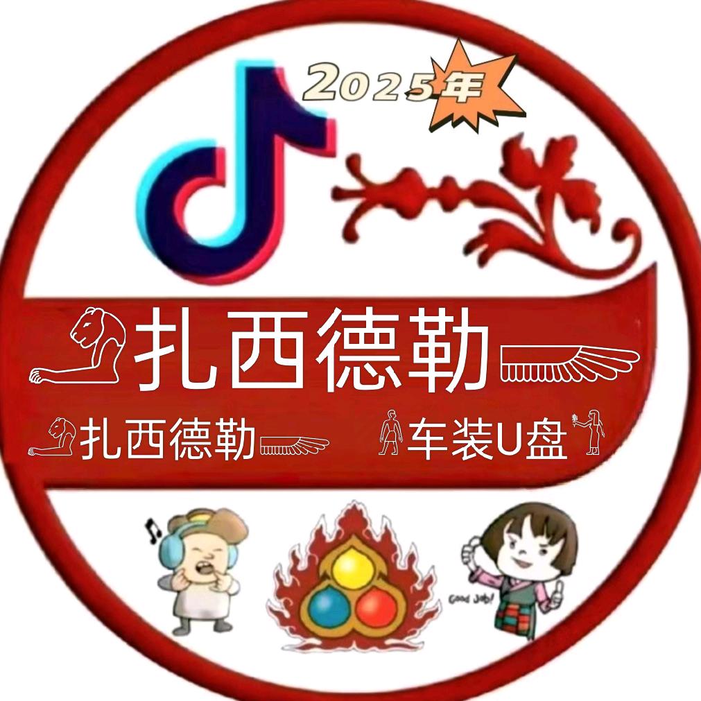 𓄂扎西德勒𓆃    𓁆车装U盘𓁙