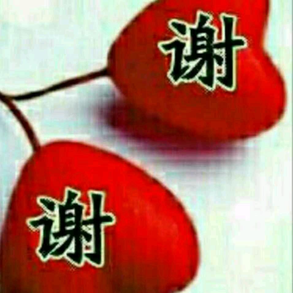 自强不息（珍惜每一天）