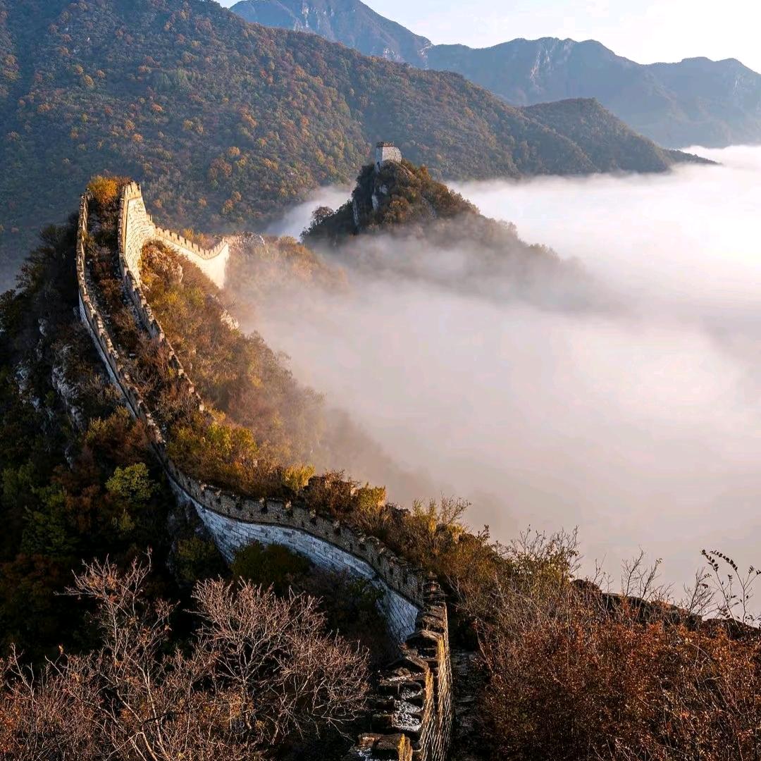 天虹正能量