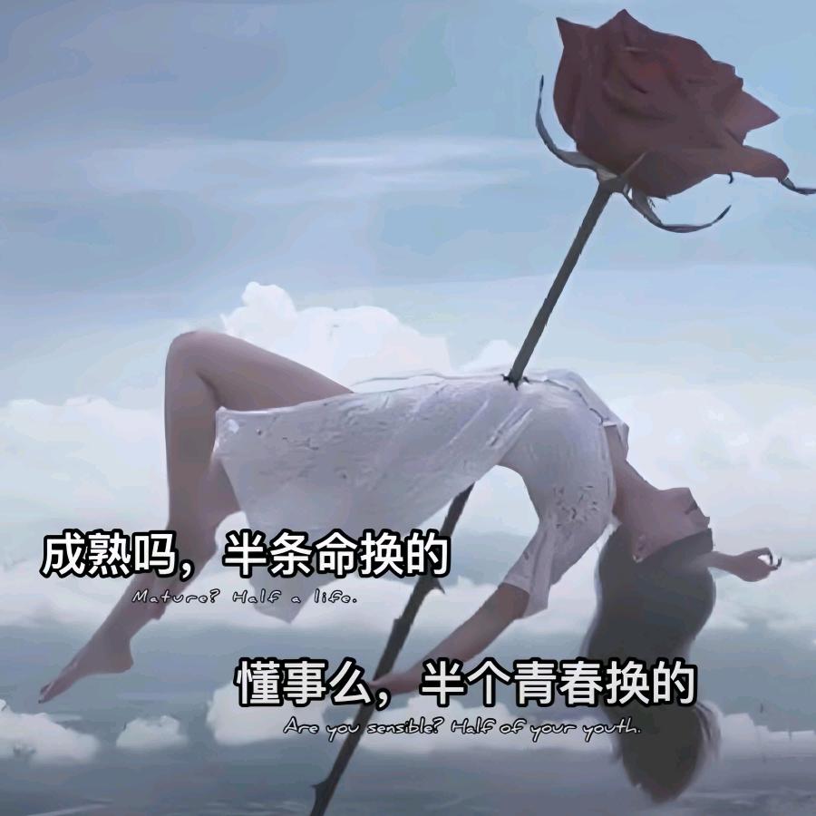 挽月