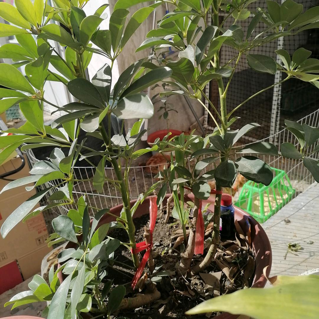 开心每一天