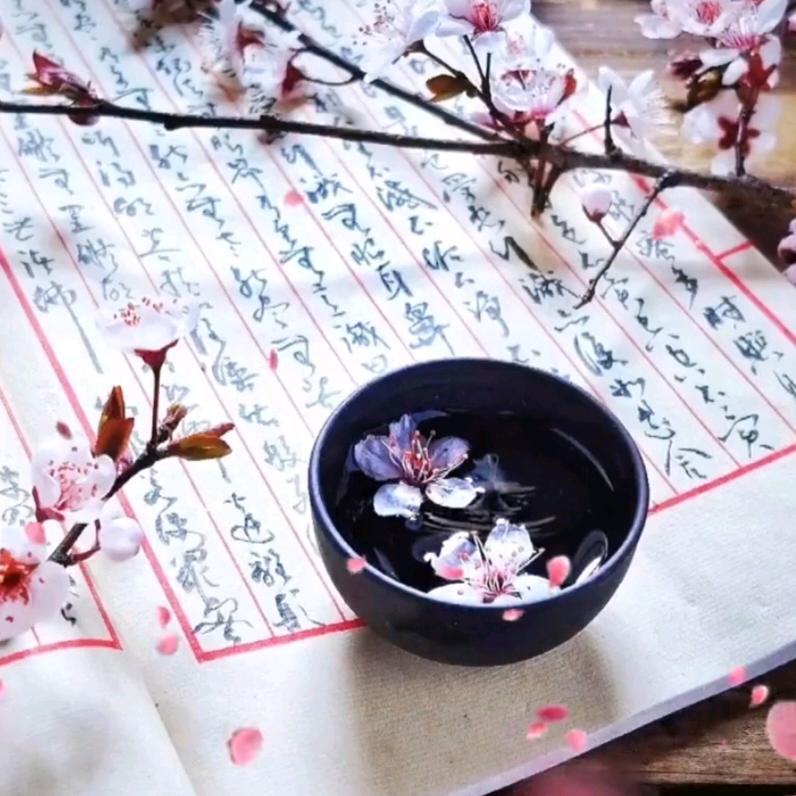 木木与书（首播下午2.20）