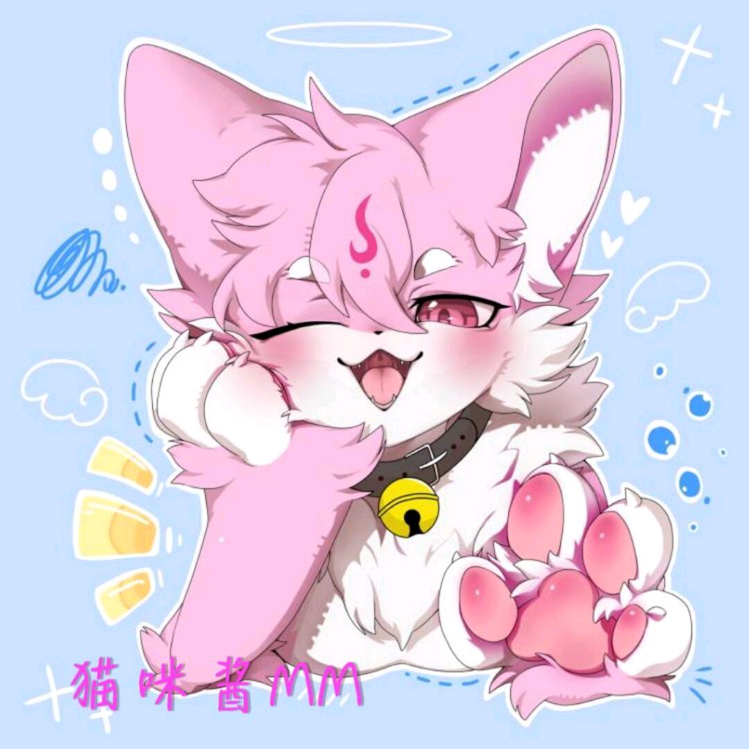猫咪酱MM