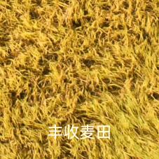 美美甄选爱分享