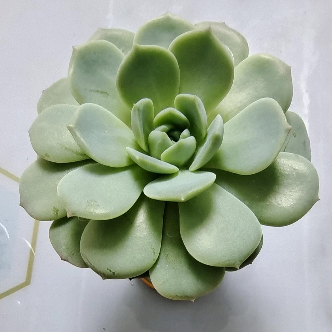 婷婷麻麻~~