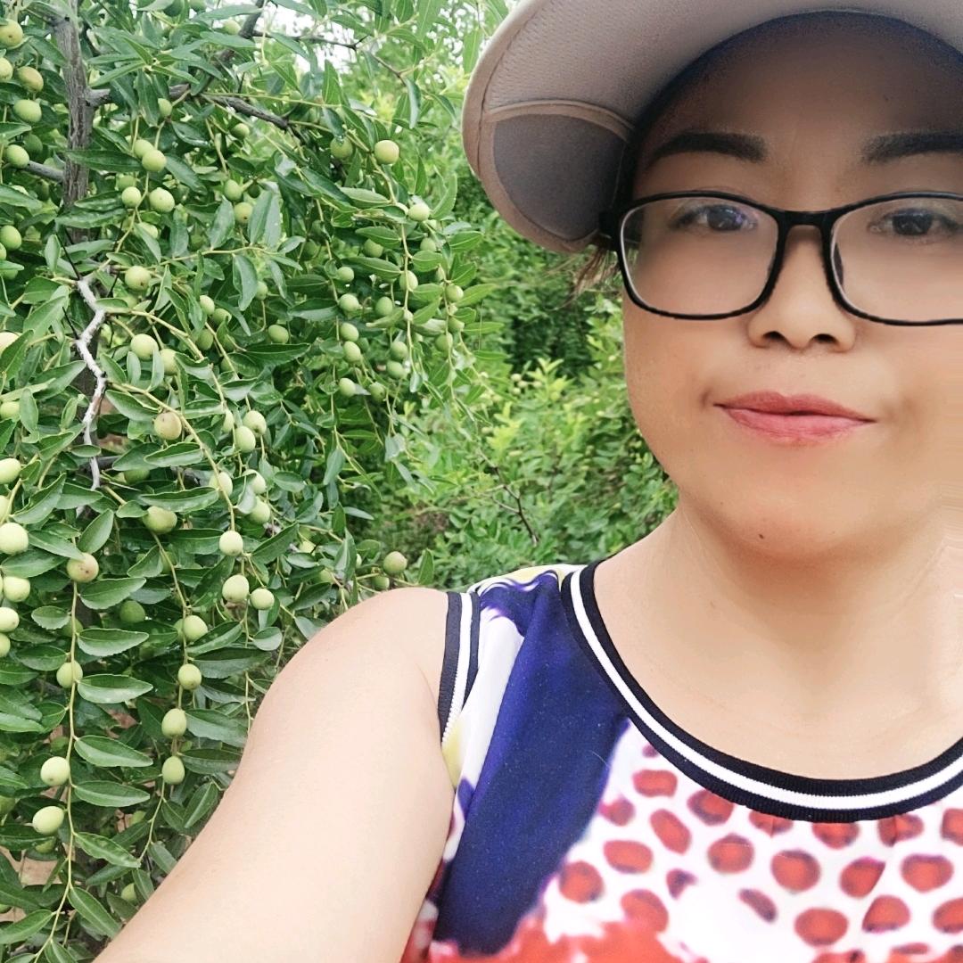小浪底酸枣种植推广