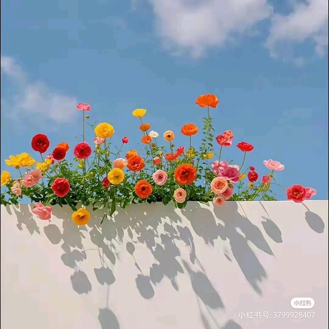 努力前行1623