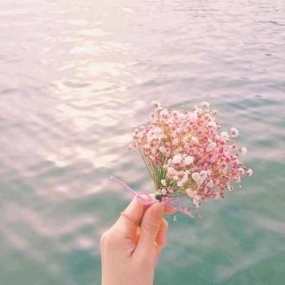 梧桐阁（能量解读）