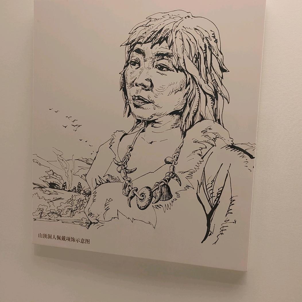 我不吃香菜