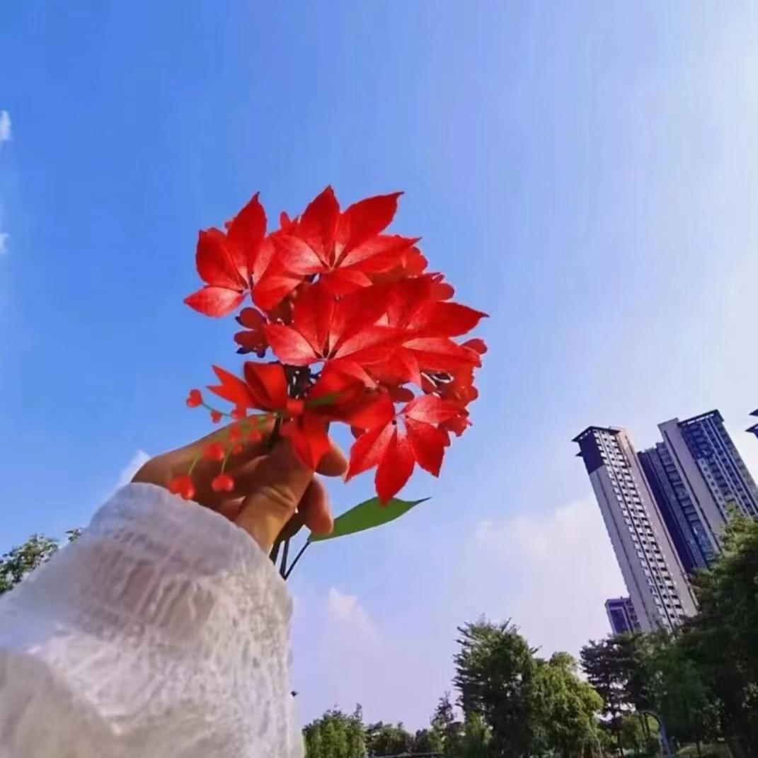 心与薄荷