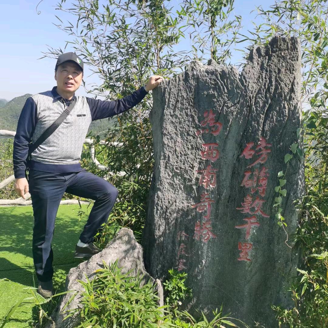 吟歌望月