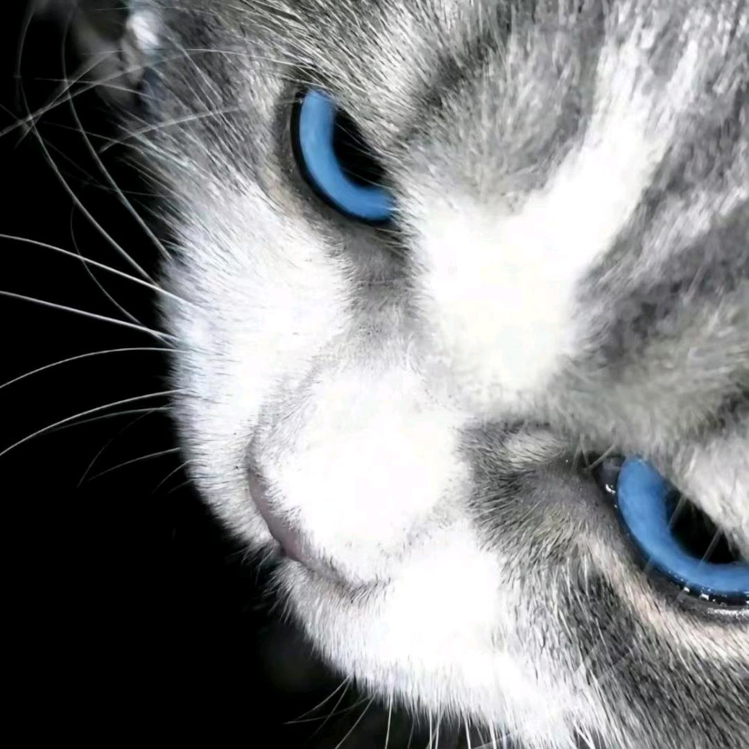 Uu