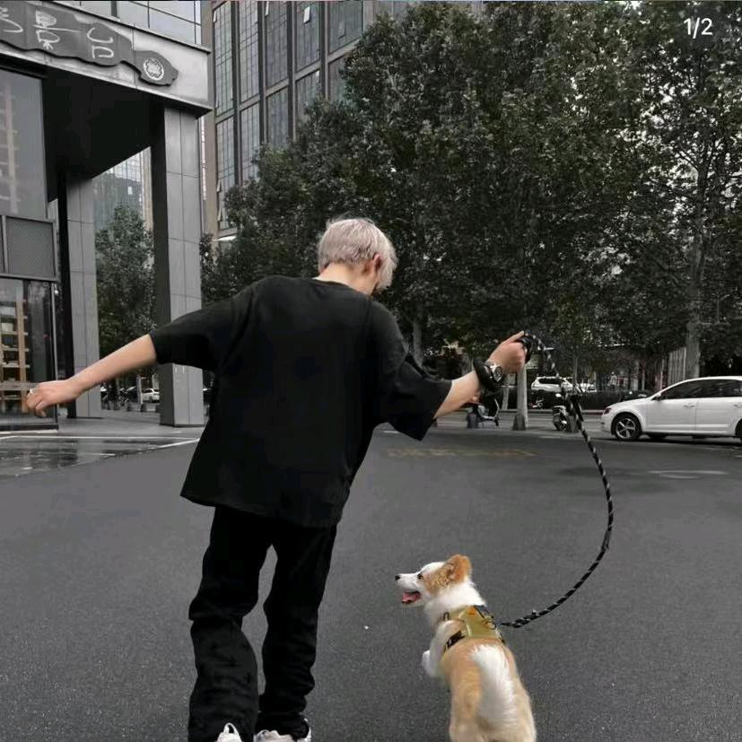 网友 .
