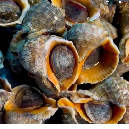一码鲜生