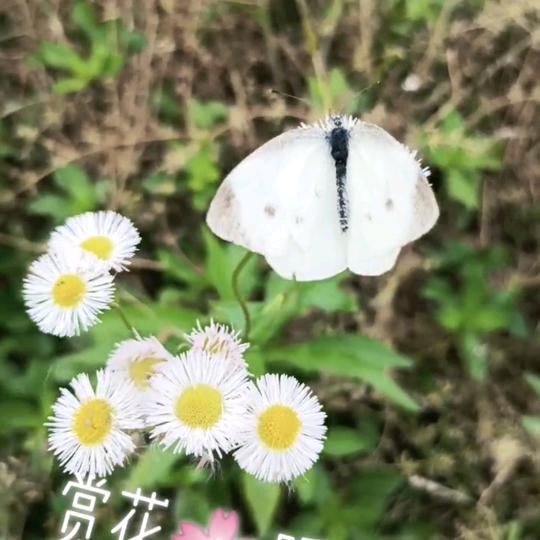 😁一张不够花。两张花不完，根本花不完。