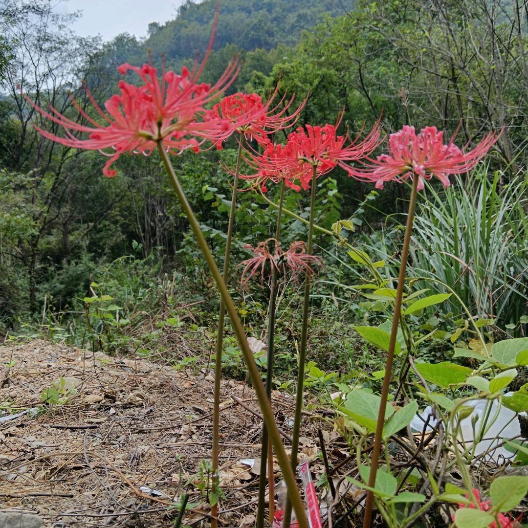 谁懂我心