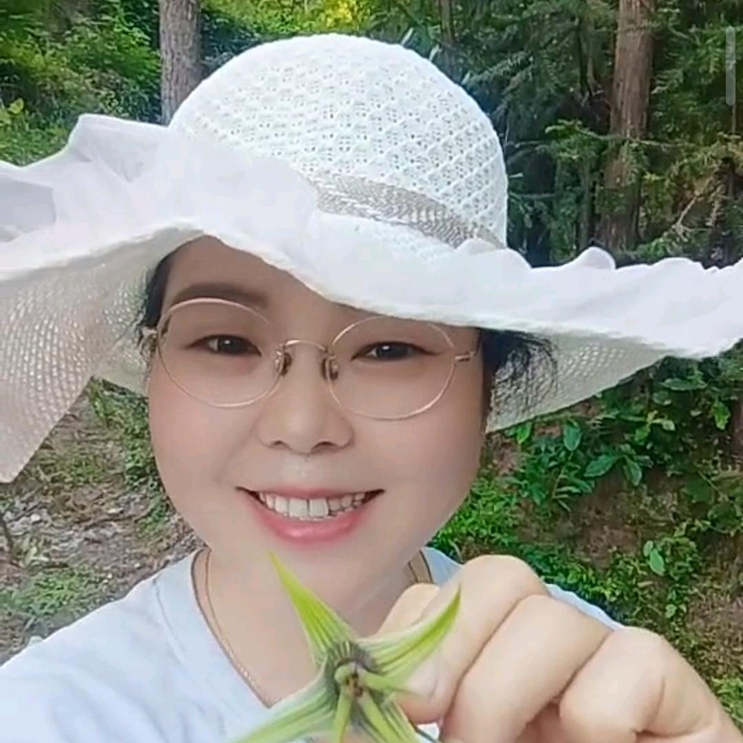 杨羊吖🐏