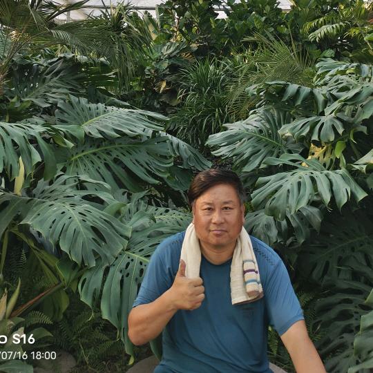 花农老张绿植