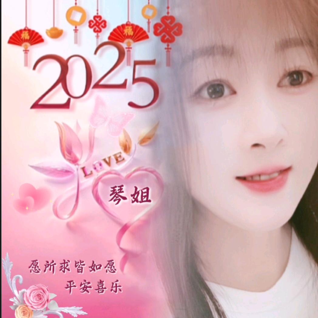@琴姐