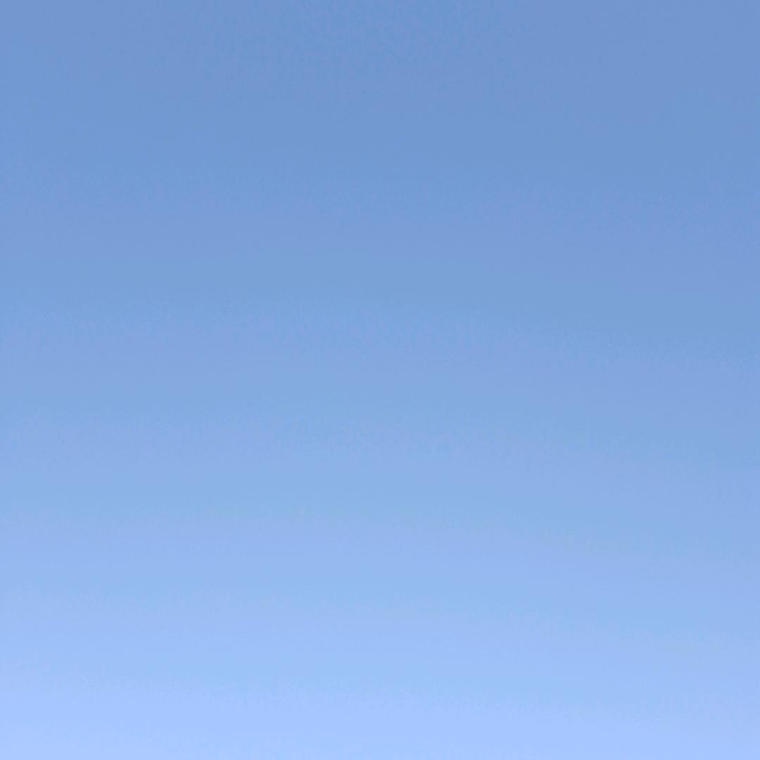 各自安好