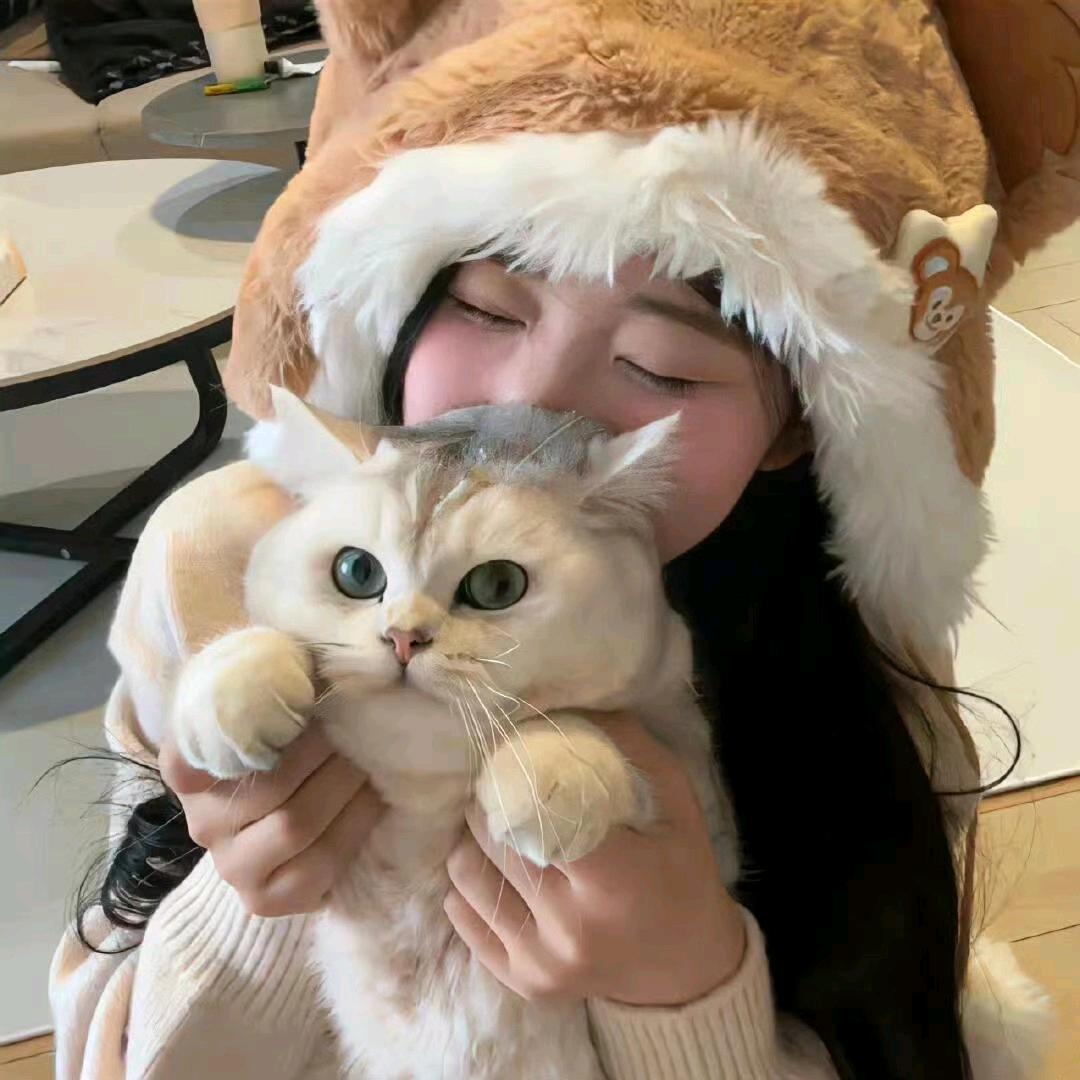 一只小鹿🦌