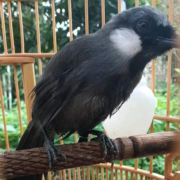 宁缺毋滥