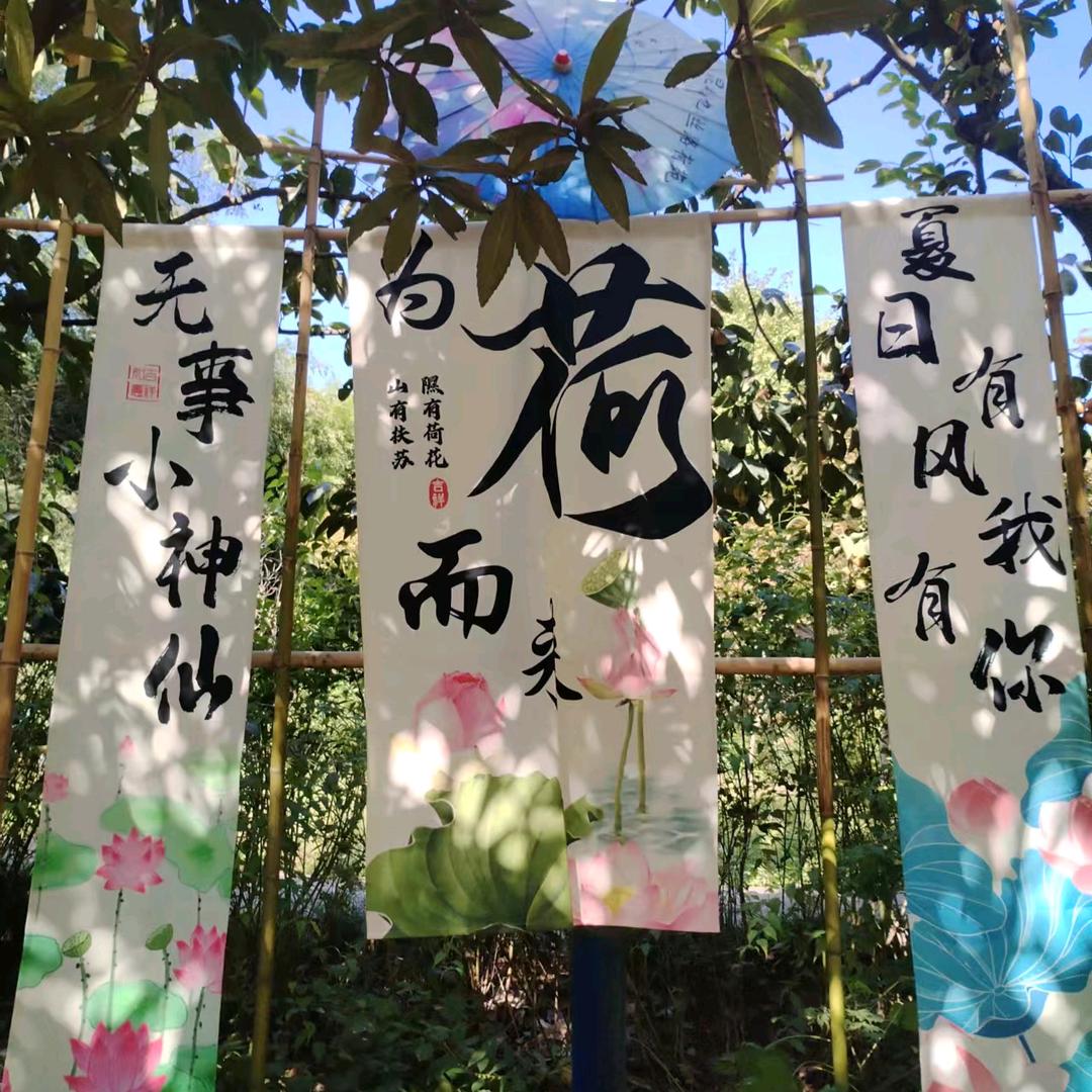 随风
