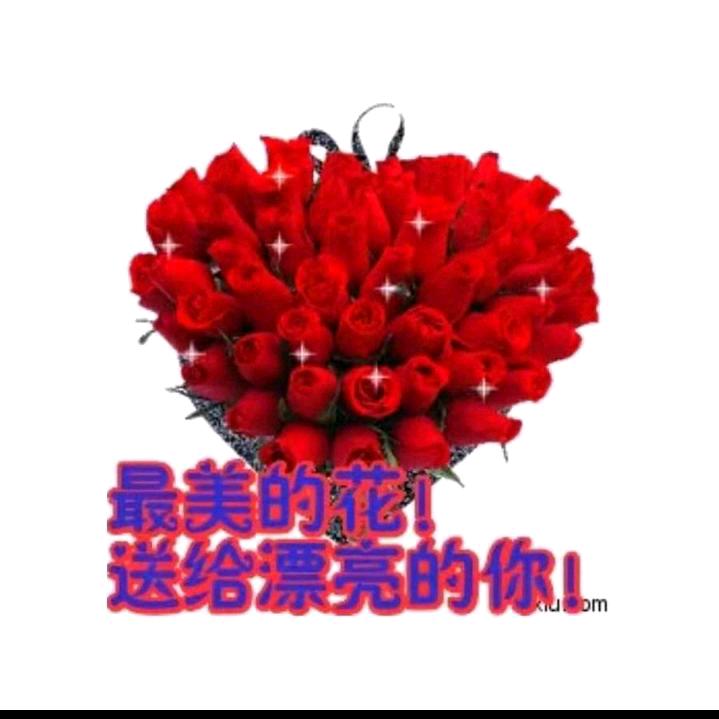 重庆火城