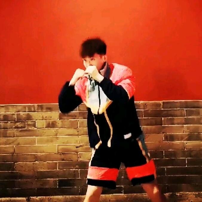 拳击小白龙