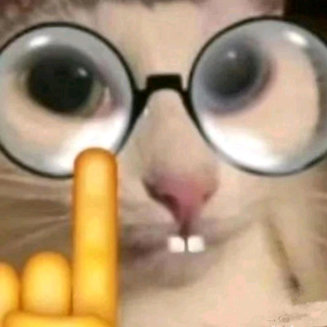 凸凸🦐