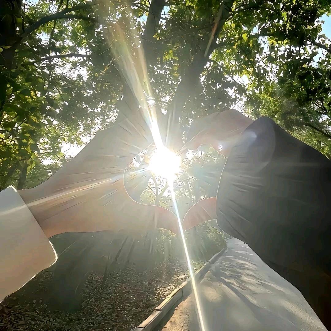 我也明媚🌞