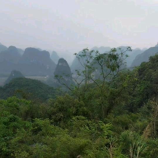 随心所欲：