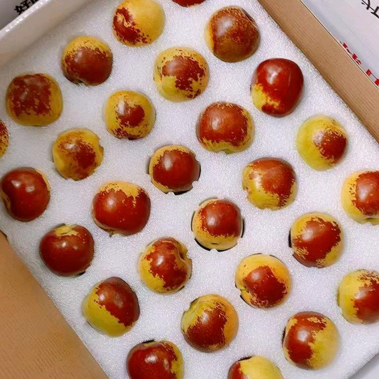 🍒冬枣藓生🍒