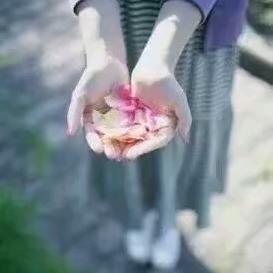 《兰🐰兰》