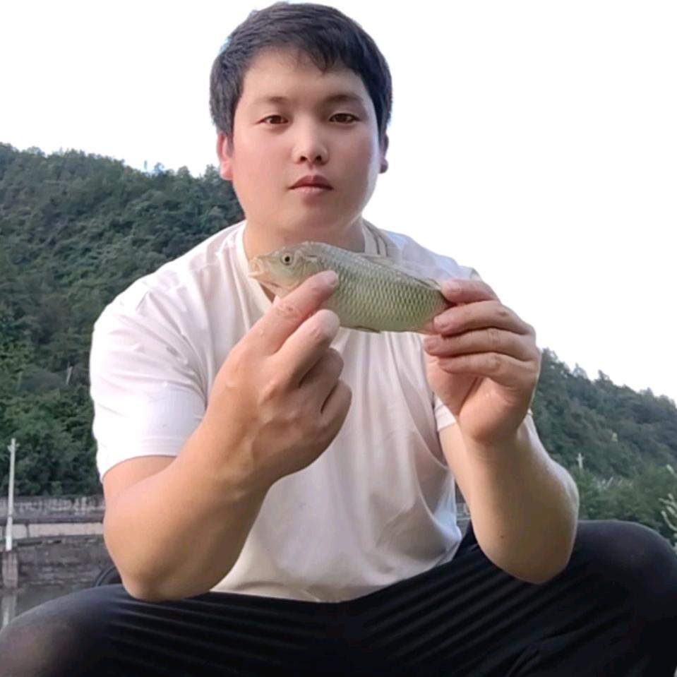 鹏哥钓鱼
