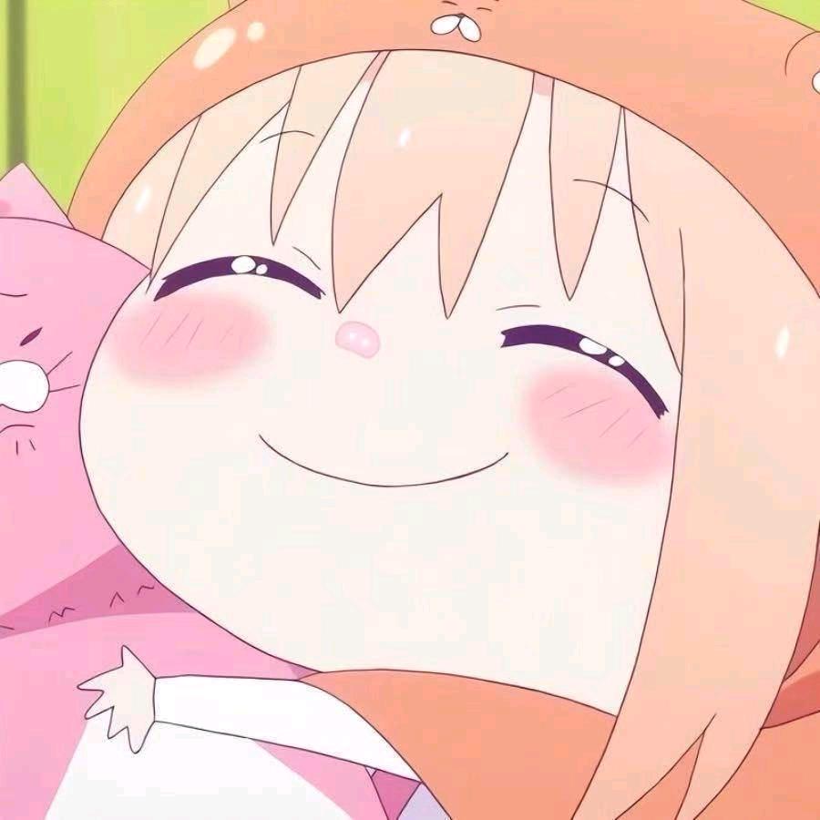 小达尔文猫