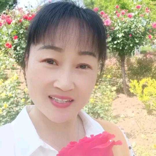 梦梦