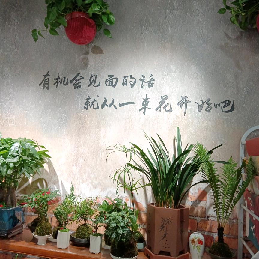 诚诚奶奶