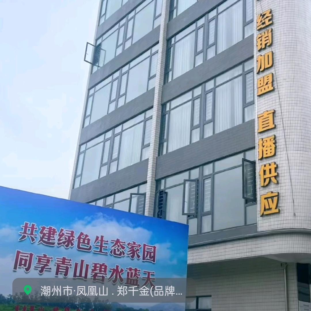 自家茶园茶旅融合直播供应—广东潮州凤凰山
