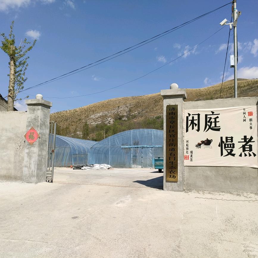 务实—拼搏