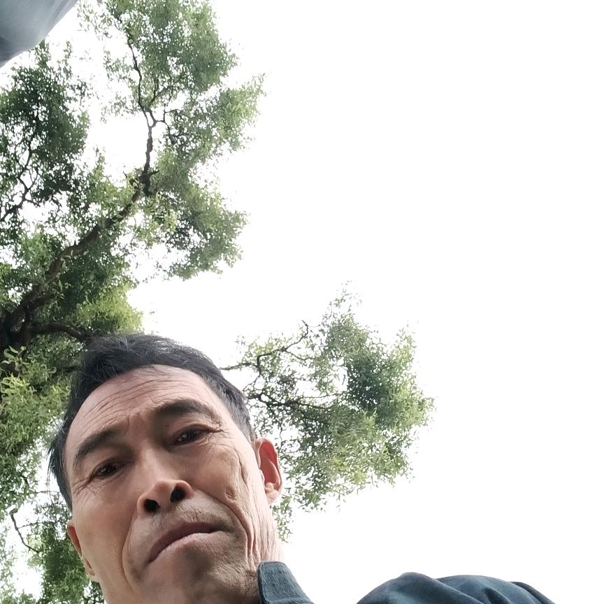 邓书香
